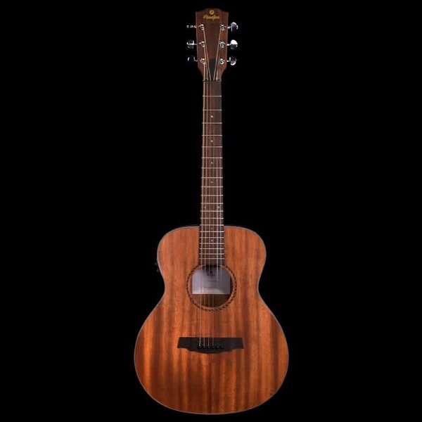 Guitare acoustique en bois