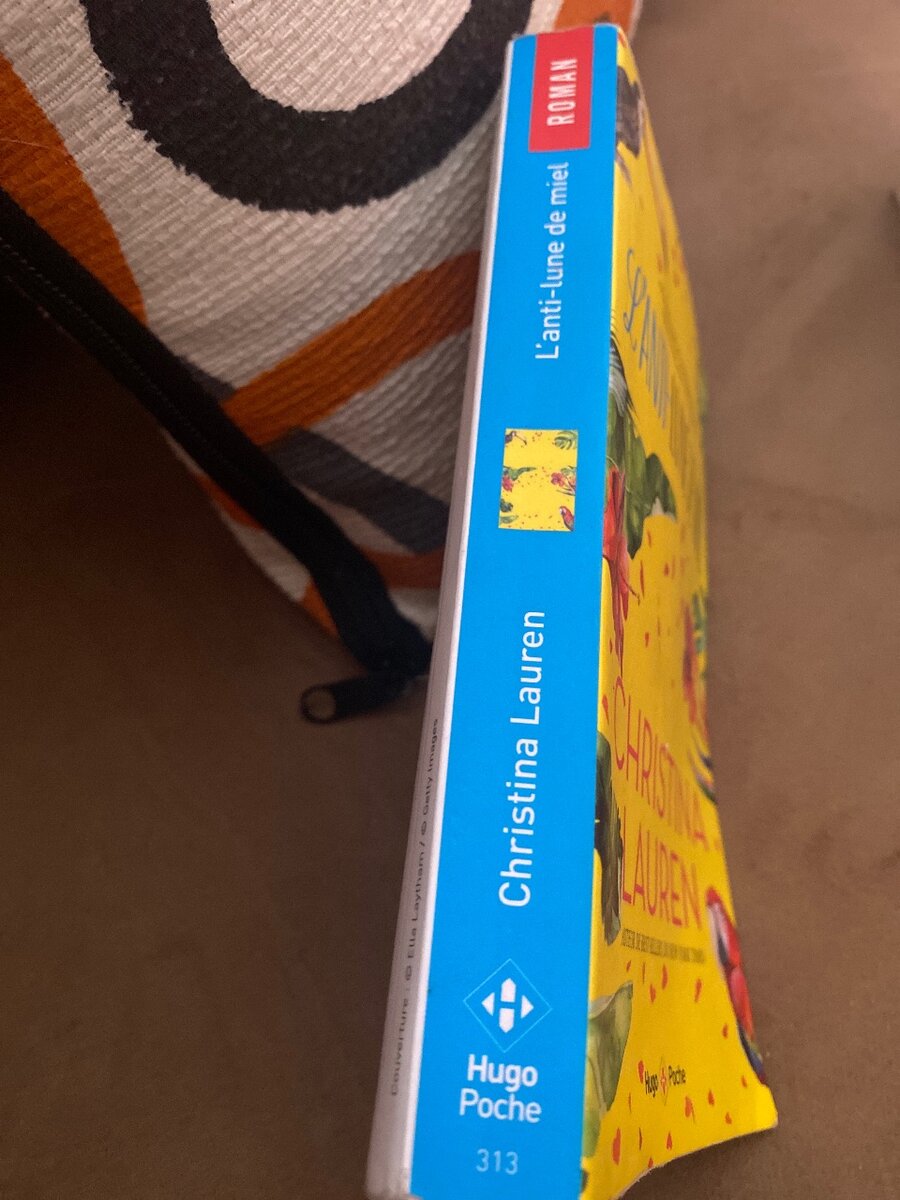 L'anti-lune de miel - Roman