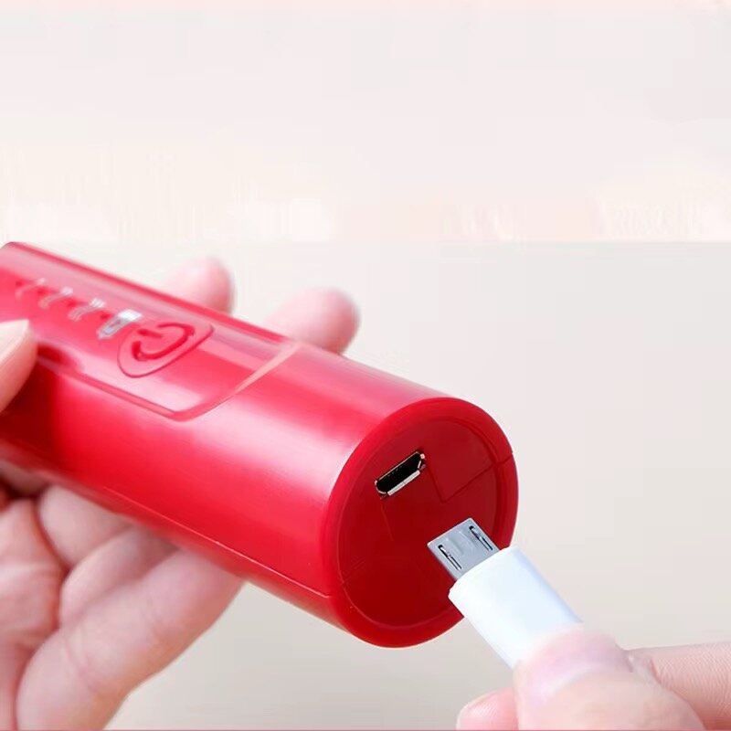 Mélangeur Rechargeable