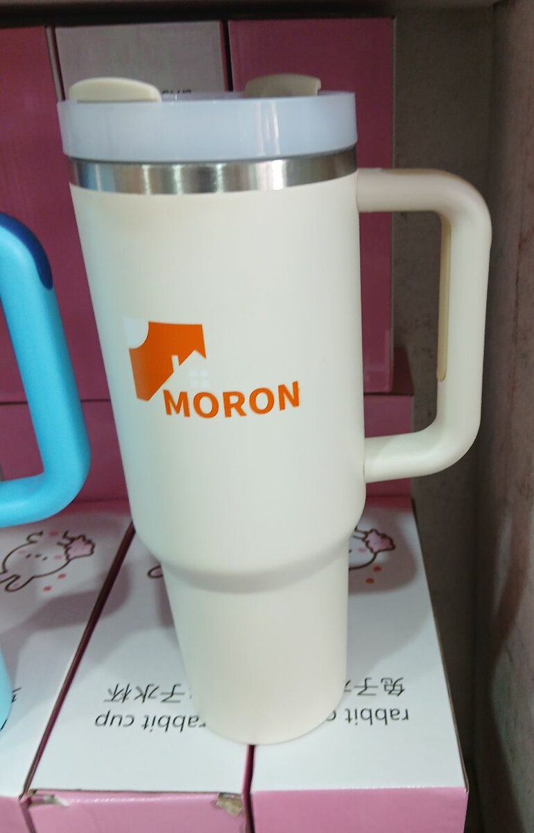 Tasse Thermos avec Paille