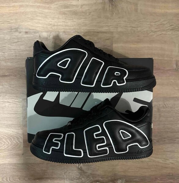 Air Force cactus flea