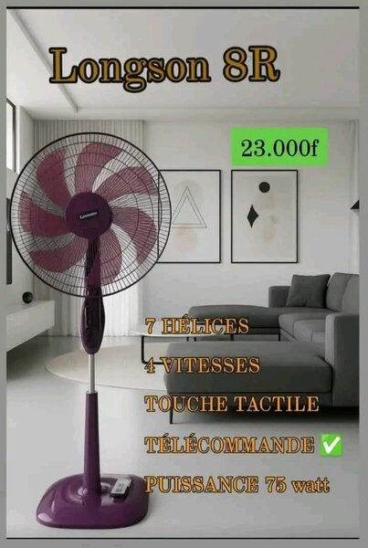 Ventilateur sur pied Longson 8R