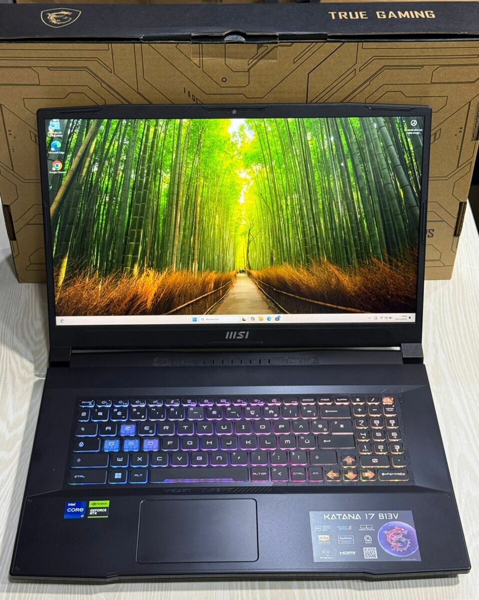 MSI Katana 17 B13V Ordinateur Portable Gaming