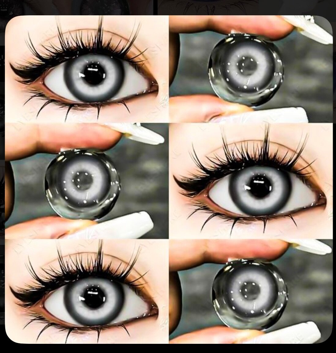 Lentilles de contact bleues 14.2mm