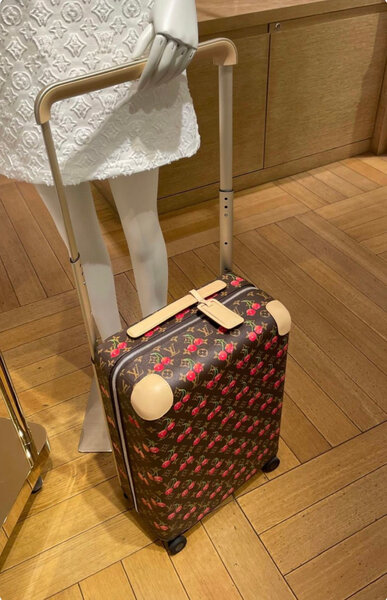 Valise à roulettes élégante