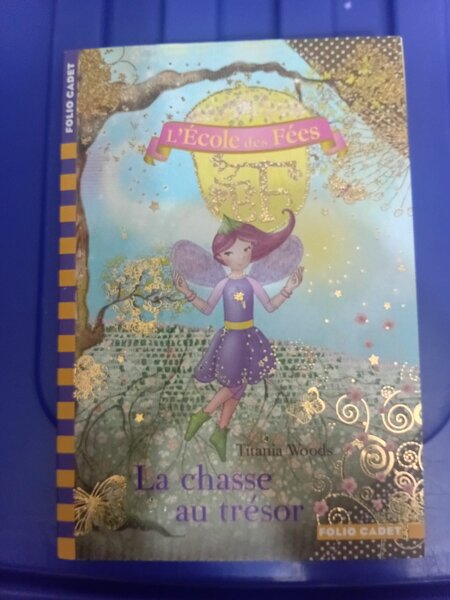 Livre enfant enchanté