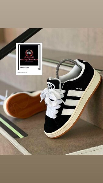 Basket adidas campus authentique taille avec sa boîte