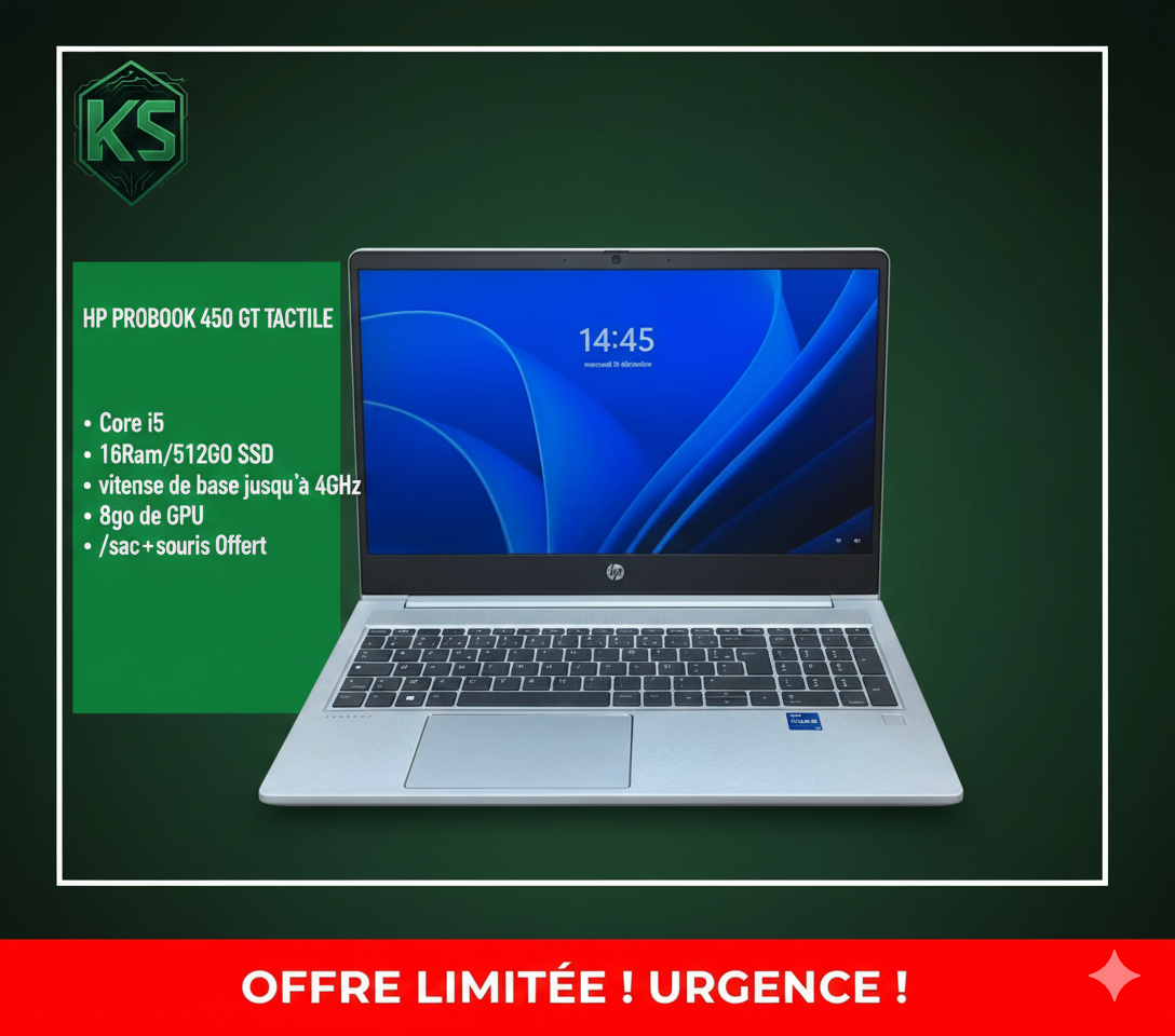 HP ProBook 450 G7 Tactile Core i5 16Go RAM 512Go SSD