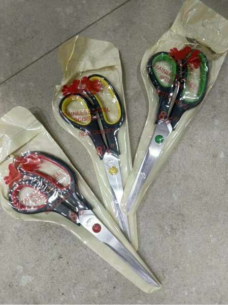 Ciseaux Acier Inoxydable