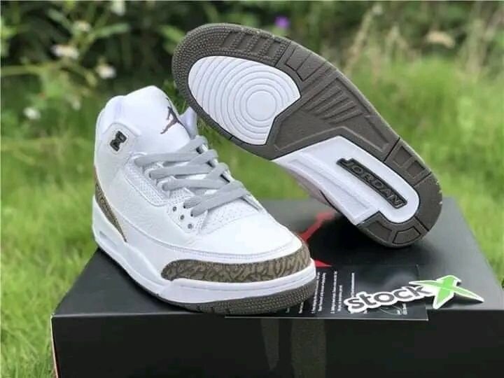 Air Jordan 3 retro