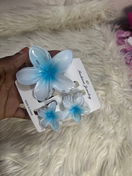 Pinces à cheveux fleurs colorées