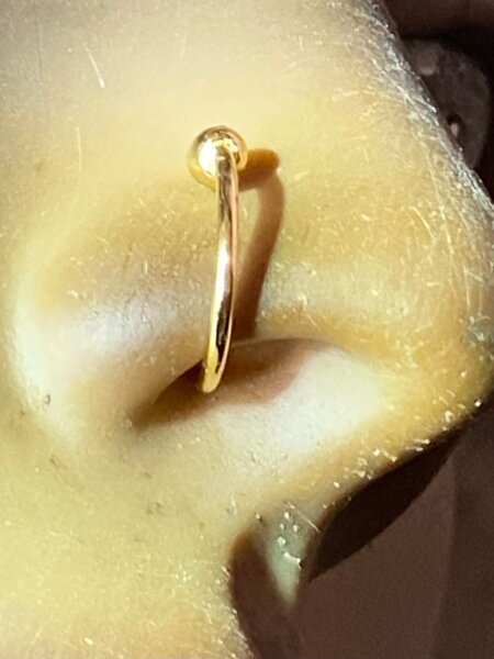 Anneau de nez doré élégant