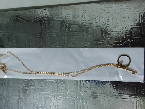 Chaîne de luxe en or