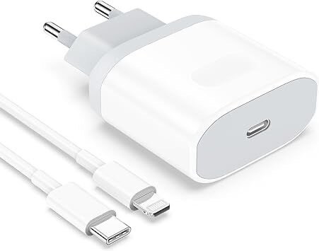 Chargeur iPhone Authentique