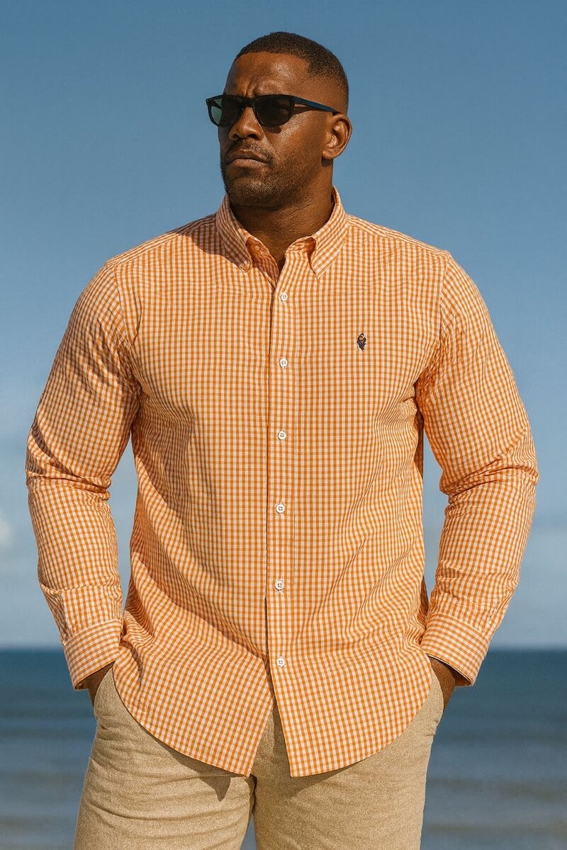 Chemise à carreaux élégante