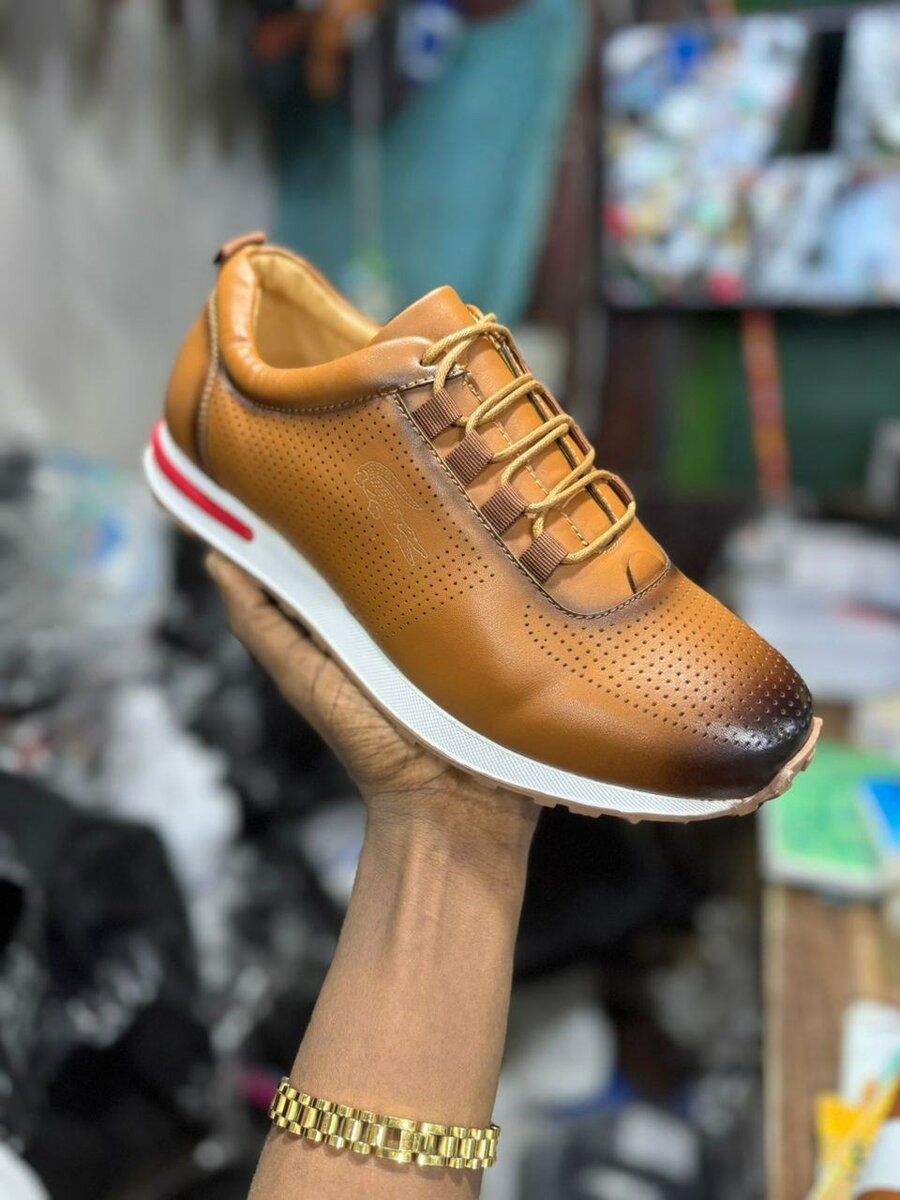 Chaussure lacoste homme