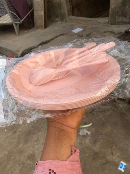 Assiettes Picnic en Plastique