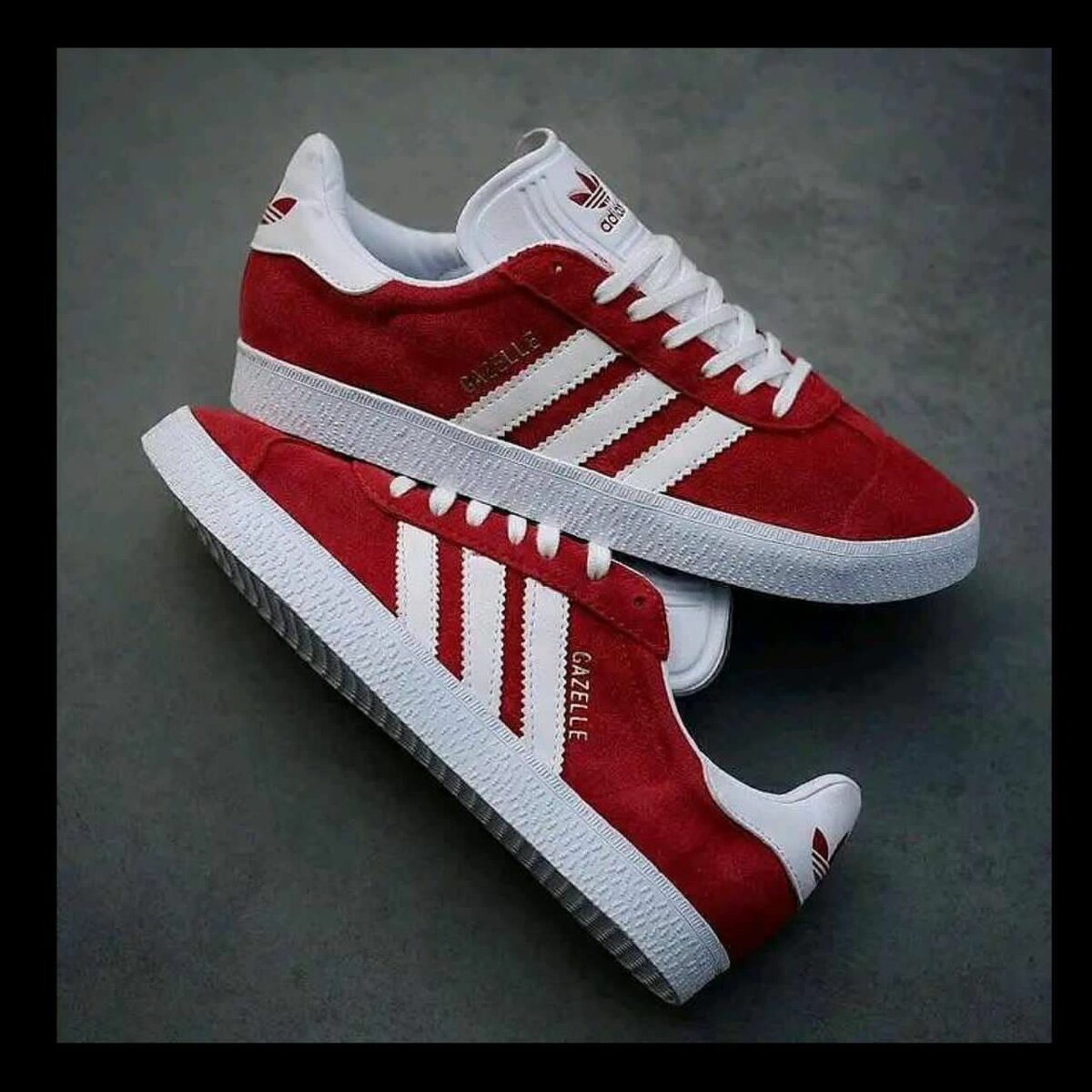 Chaussure Adidas
