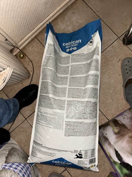 Cebican High Energy Lamb