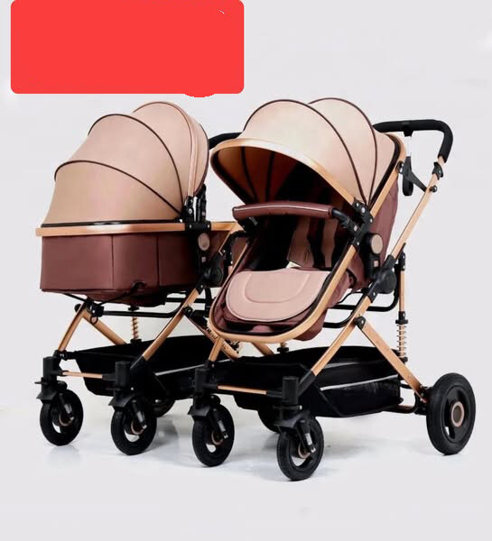 Premium 2023 2024 Twins 2 Kids