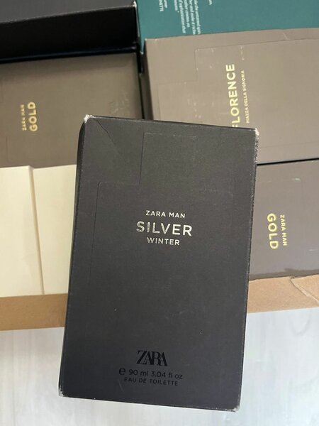 Zara Man Silver Winter