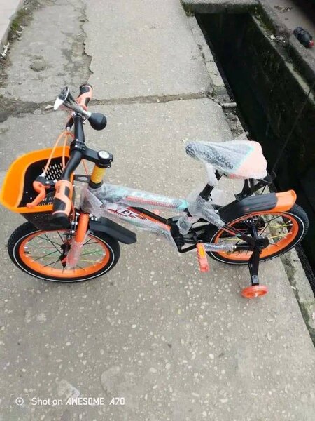 Vélo Enfant avec Roues Stabilisatrices
