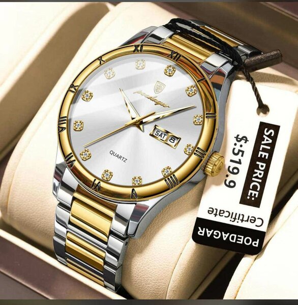 Montres de luxe pour hommes