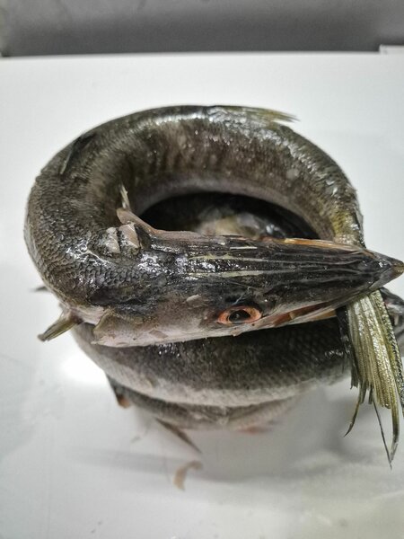 Poisson frais entier