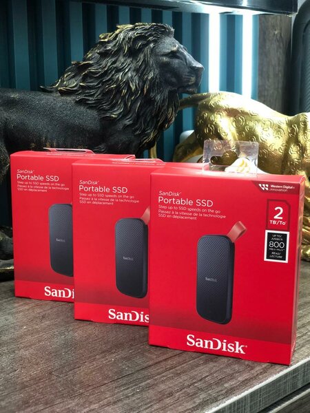 SANDISK PORTABLE SSD