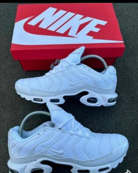 Chaussures Nike TN - Blanc et Brun