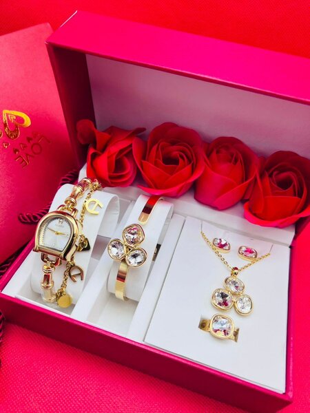 Ensemble Montre et Bijoux Luxe pour Femme