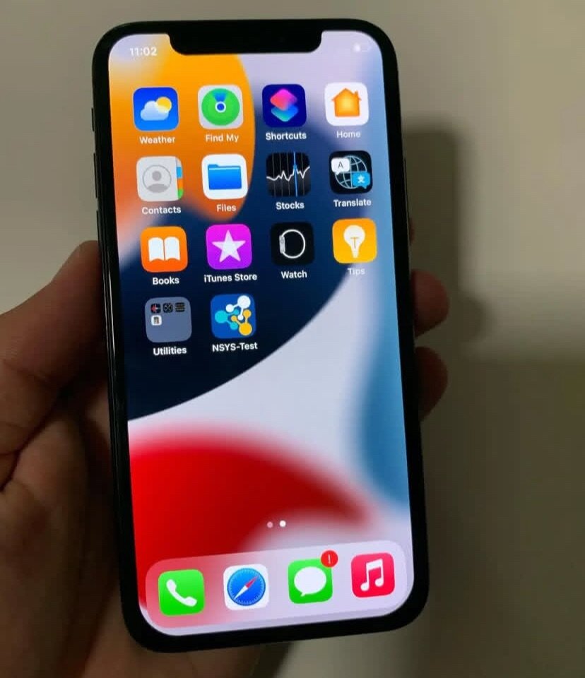 iPhone X