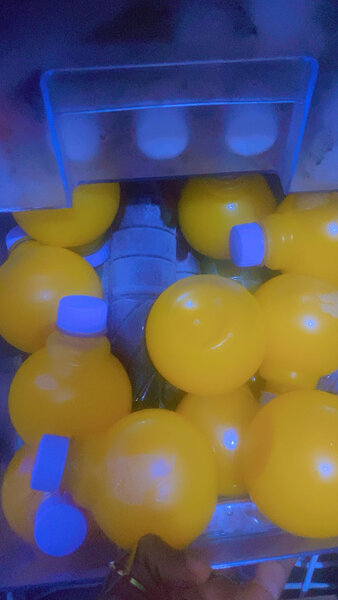 Boisson Orange Bio Rafraîchissante