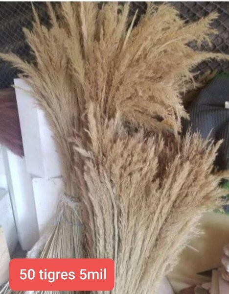 Herbes Séchées pour Décoration