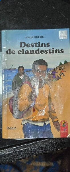 Destins de clandestins - Récit captivant