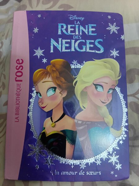 Livre La Reine des Neiges