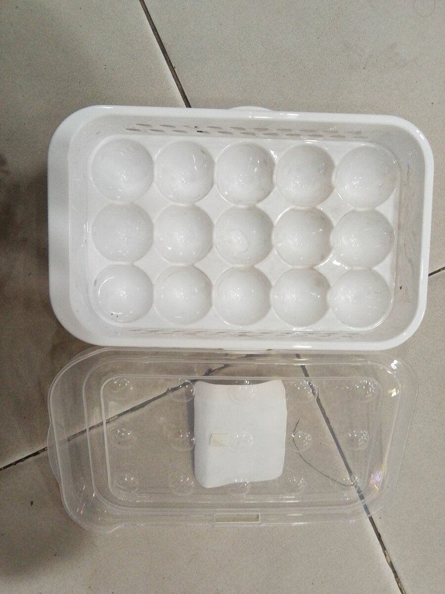 Eggs storage box