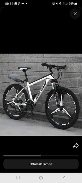 Vélo tout-terrain performant