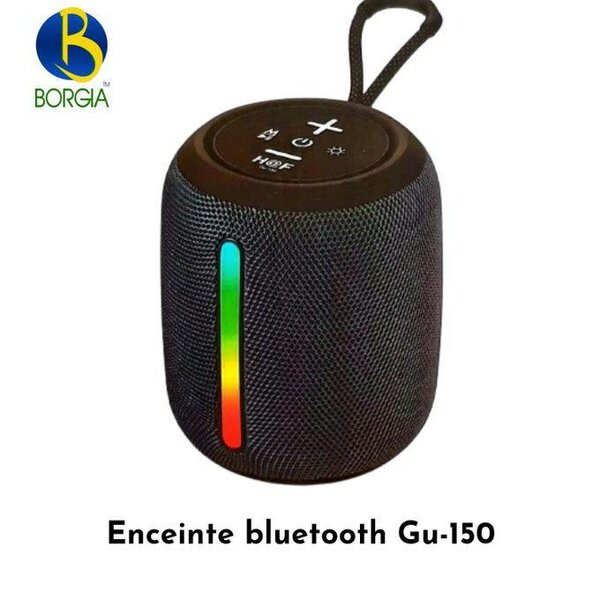 Enceinte Bluetooth Portable
