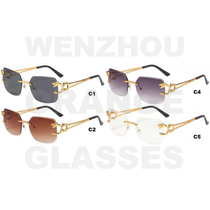 Lunettes de Soleil Élégantes