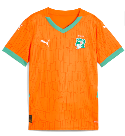 Maillot côte d'ivoire Pro max