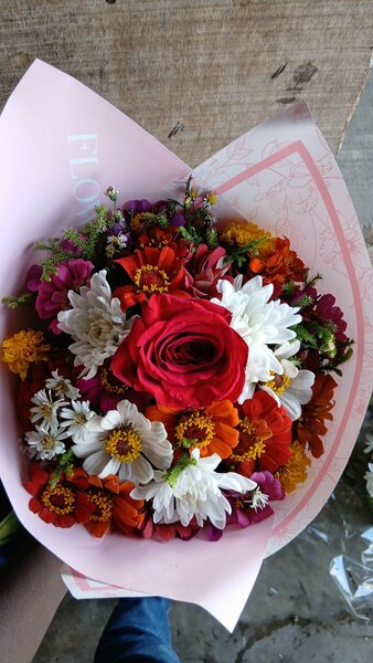 Bouquet de fleurs multicolores