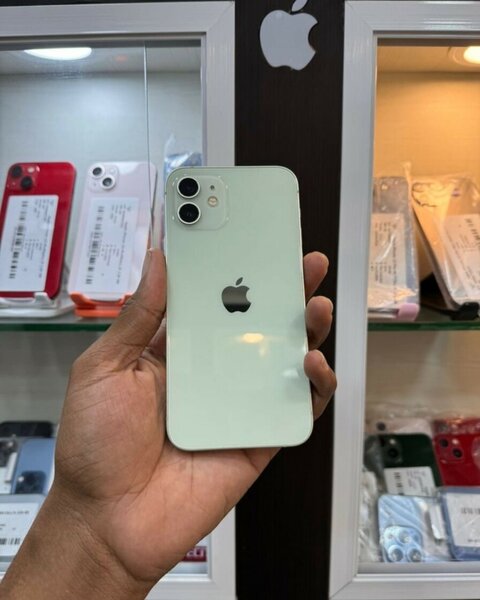 iPhone 12 Mini Vert Neuf