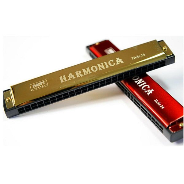Harmonica professionnel 24 holes