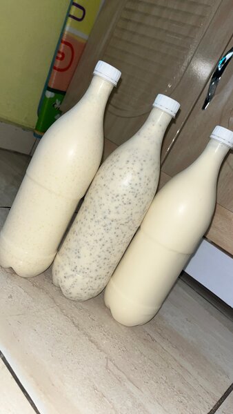 Deguê couscous - Mil - Yaourt