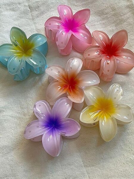 Pinces à cheveux fleurs colorées