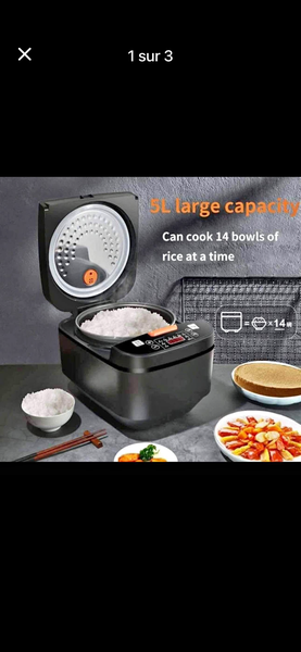 Cuiseur à Riz Électrique 5L