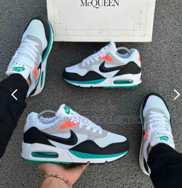 Baskets Air Max classiques