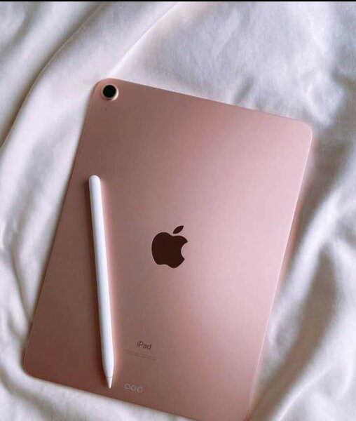 iPad et Stylet Apple