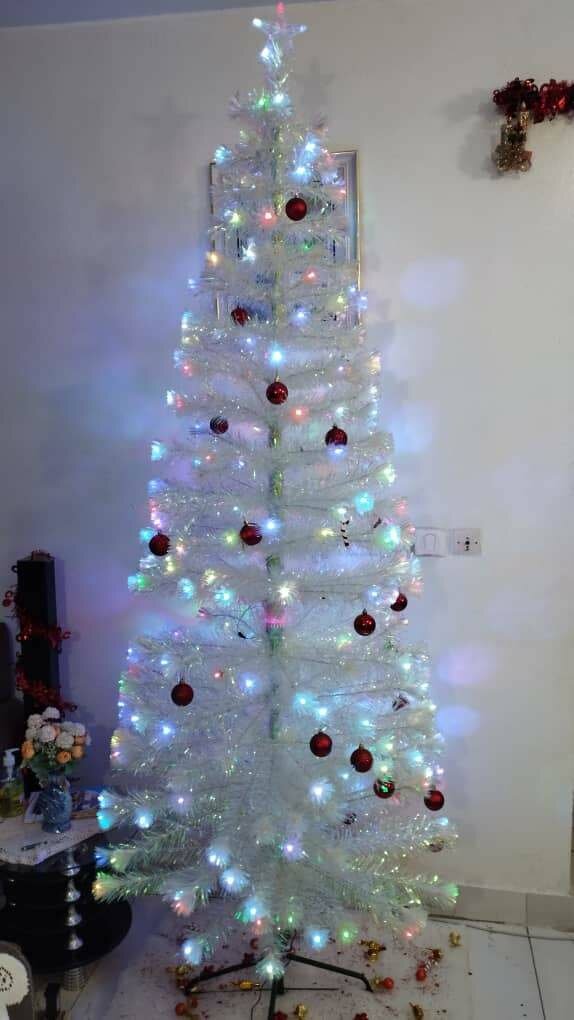 Sapin blanc 2m avec guirlandes